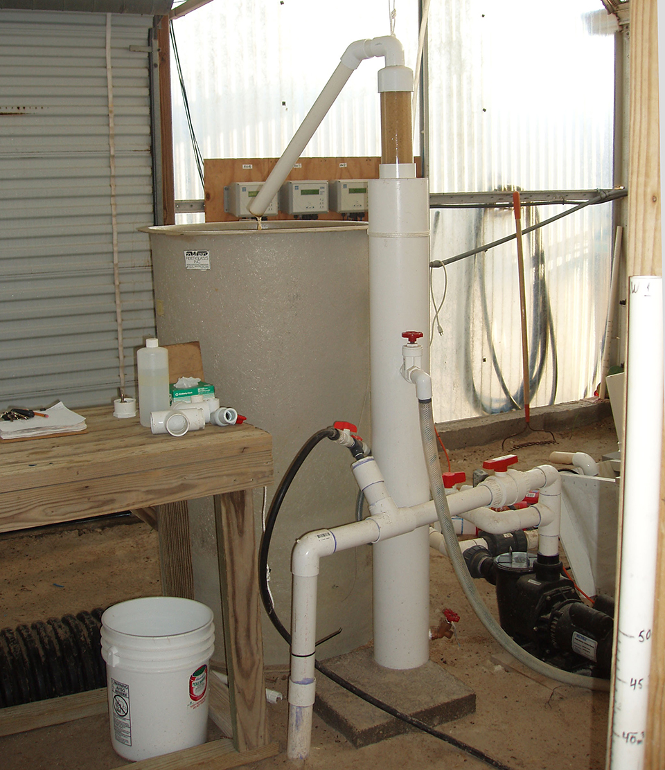 Intensive raceways without water exchange analyzed for white shrimp ...