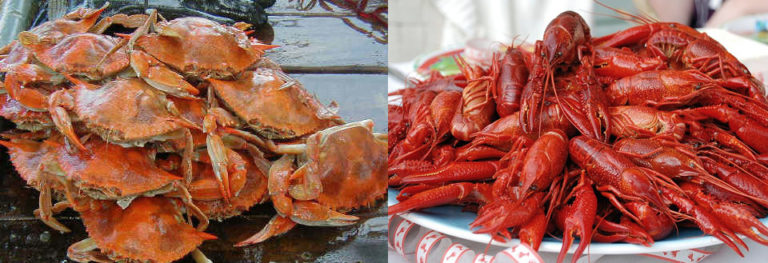 Article image for Thermal pasteurization of crustacean products