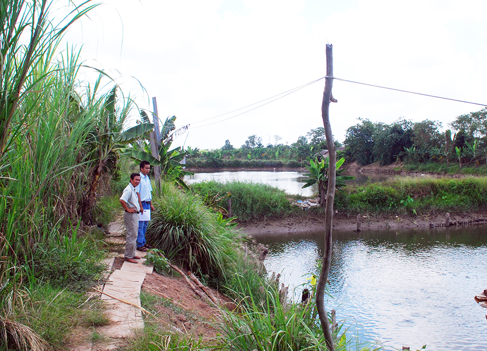 Energy Efficiency Of Aquaculture Responsible Seafood Advocate