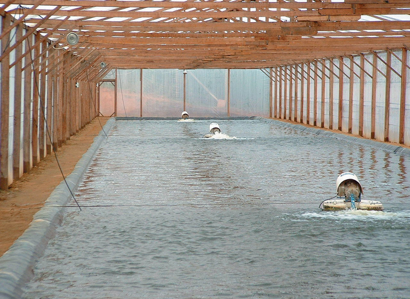 Varied aerator designs provide oxygenation, mixing in biofloc systems ...