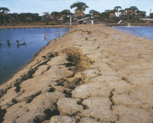 Erosion, sedimentation in earthen aquaculture ponds