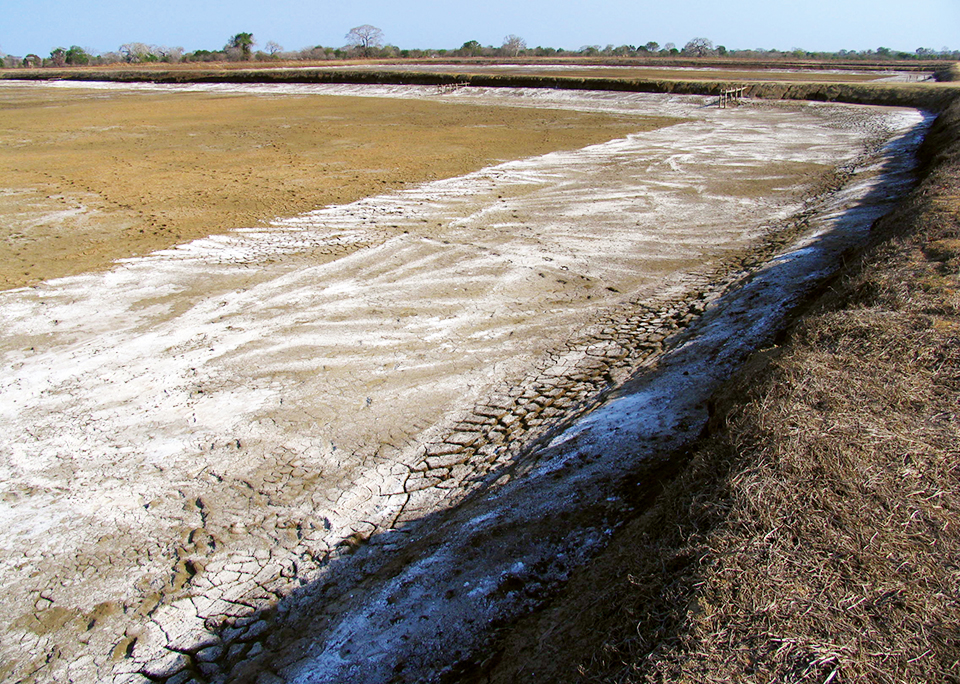 Article image for Liming materials for aquaculture