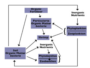 Organic matter for pond fertilizer