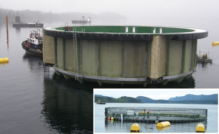 Article image for Floating closed-containment aquaculture