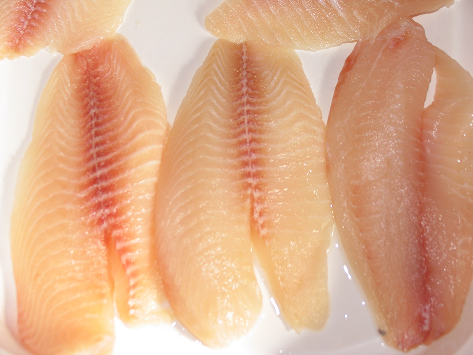 Article image for Moisture-retention treatments connected to odors in tilapia fillets