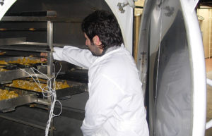 Solid-state fermentation novel process for improving nutritional value of plant feedstuffs
