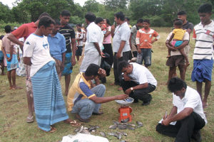 GIFT tilapia raise culture efficiency in Sri Lanka
