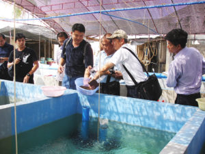ASAIM addresses challenges to growth of marine fish farming in Southeast Asia