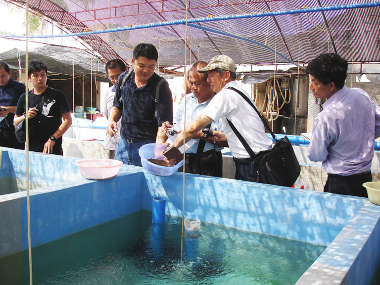 Article image for ASAIM addresses challenges to growth of marine fish farming in Southeast Asia