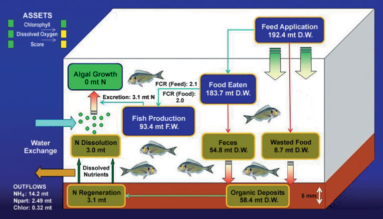 Article image for Computer modeling helps grow fish