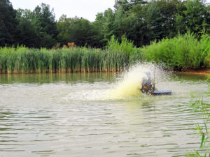 in-situ biofloc technology