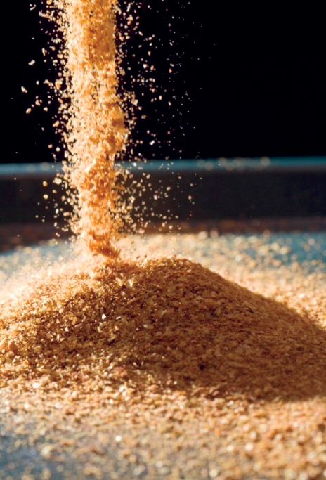 Article image for A look at corn distillers dried grains with solubles