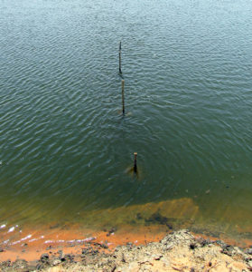 Turbidity removal from pond waters