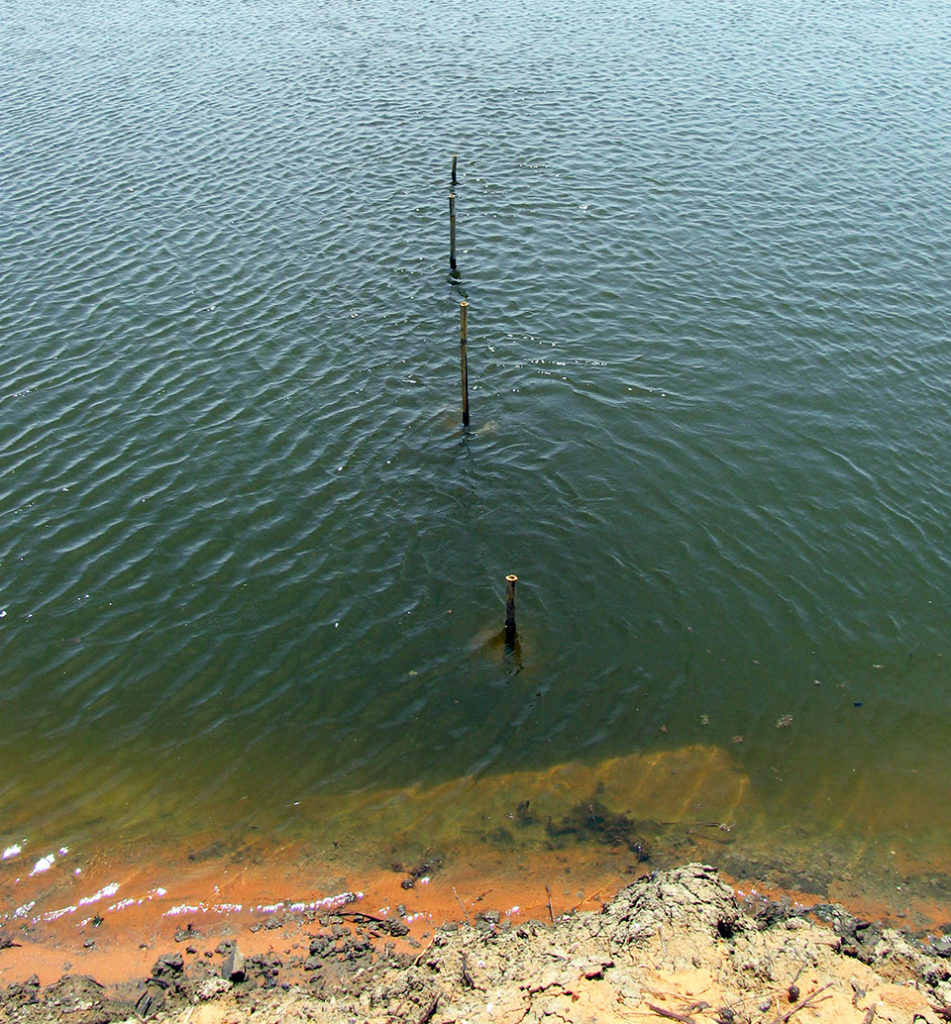 Article image for Turbidity removal from pond waters