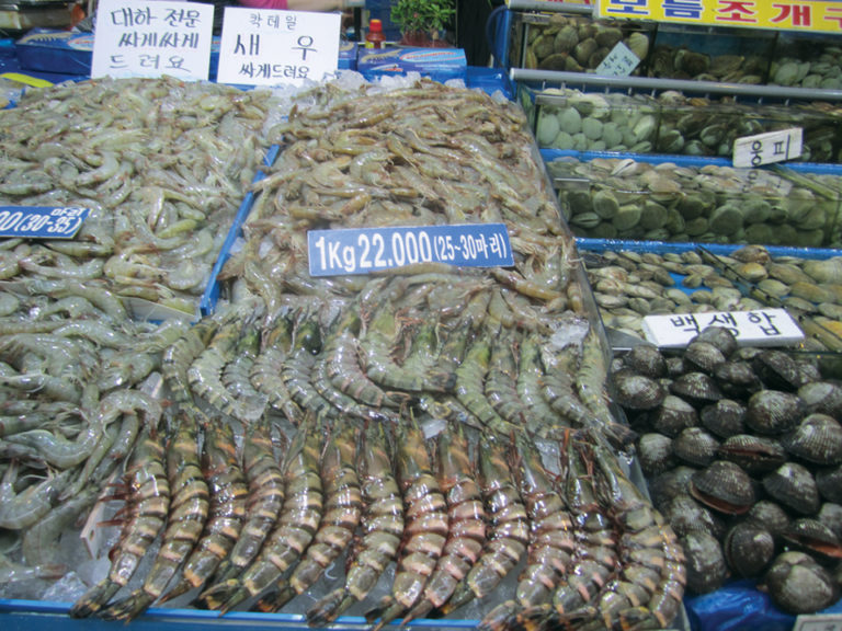 Article image for Seafood in Korea