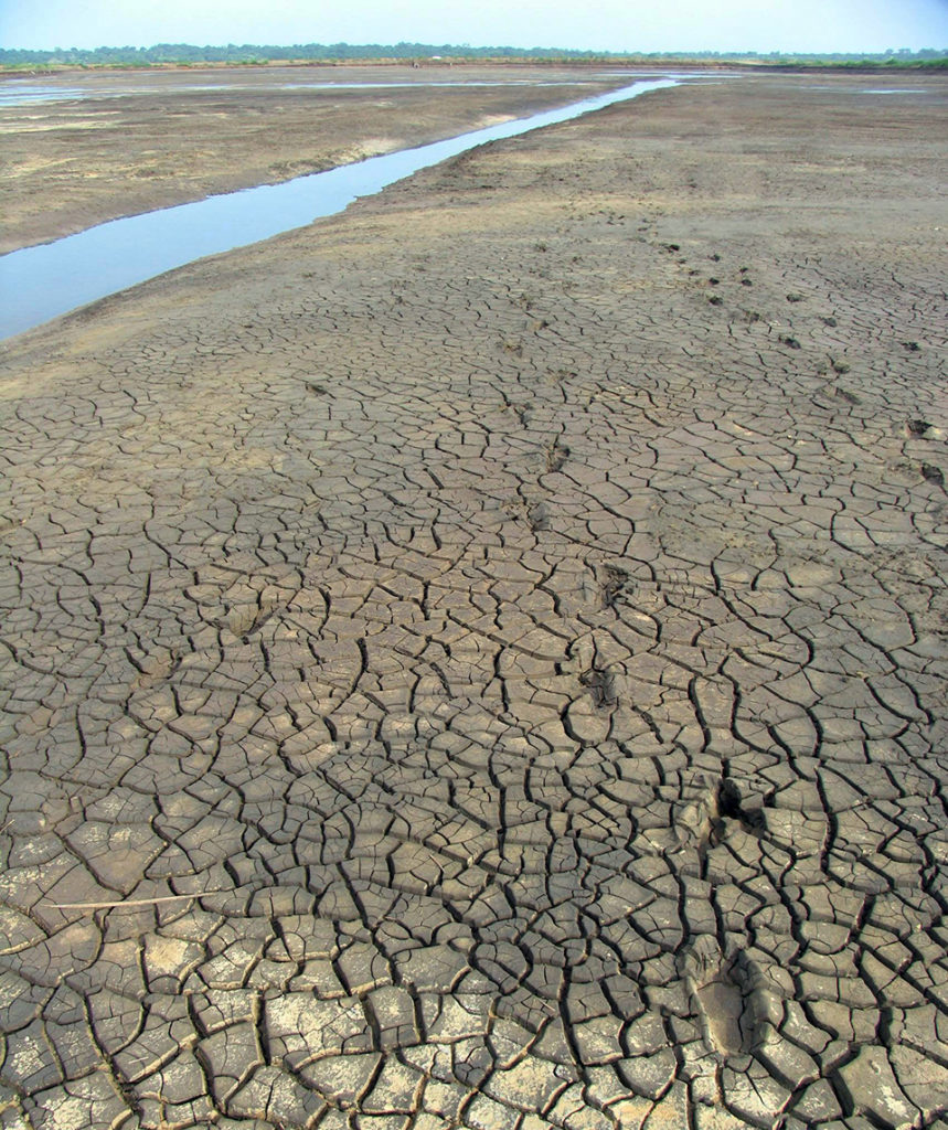 Article image for Drying, liming, other treatments disinfect pond bottoms