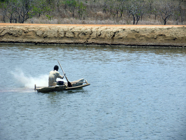 Article image for Oxidants enhance water quality