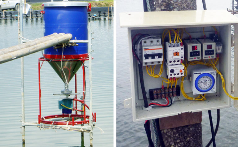 Automatic feeding in shrimp aquaculture - Responsible Seafood Advocate