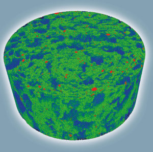 Skretting ARC is using X-ray microtomography to visualize pelletsbefore and after coating, revealing the internal structure, the size of the pores and variation in size. This is important, as it affects physical properties and how the pellets behave in vacuum coating.