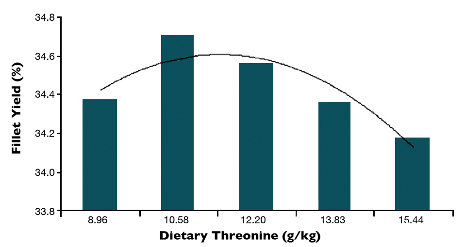Dietary threonine factor in tilapia fillet yield Responsible Seafood