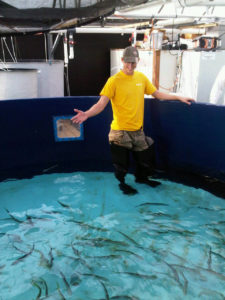 Mahimahi aquaculture revisited