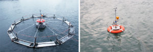 Automatic submersible fish cage systems counter weather, surface problems
