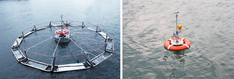 Article image for Automatic submersible fish cage systems counter weather, surface problems