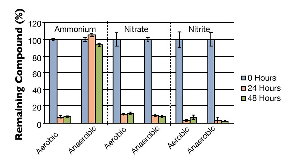 Fig. 2: In vitro nitrogen compound bioremediation. In the laboratory, cells were cultured with and without oxygen for two days in the presence of high ammonium, nitrate or nitrite levels.