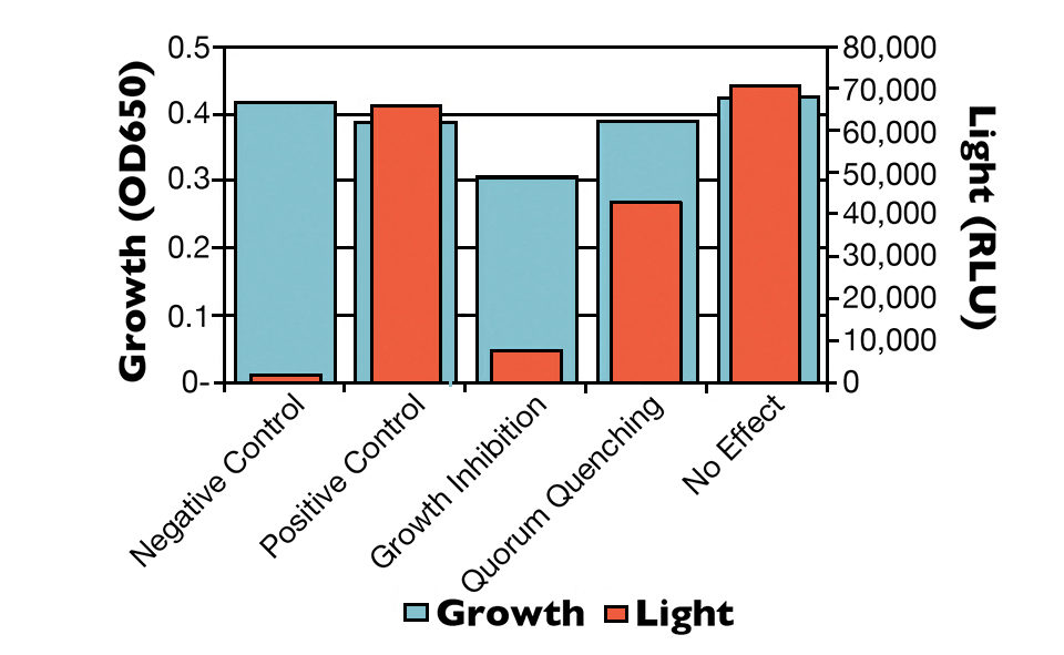 Fig. 4: Quorum quenching example. Growth inhibition by default leads to less Q.S.-related activity (light production).