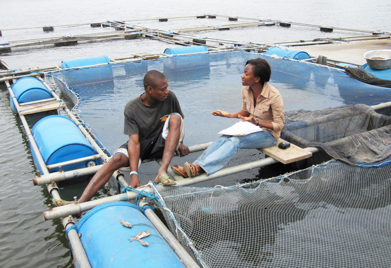 Article image for A look at tilapia aquaculture in Ghana