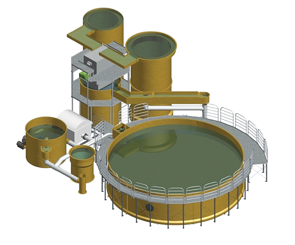 Optimizing depuration of salmon in RAS - Responsible Seafood Advocate