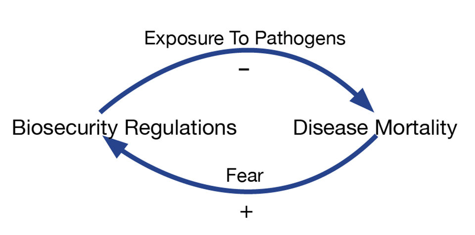 Fig. 1: Beneficial paths between biosecurity regulation and mortality from disease.