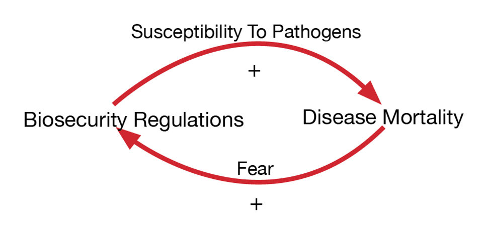 Fig. 2: Detrimental (inbreeding paths) between biosecurity regulation and disease mortality.