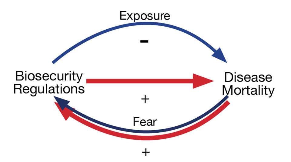 Fig. 3: Estimated relative strengths of beneficial (blue) and detrimental (red) paths.