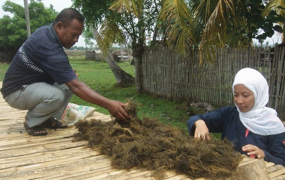 Article image for Value chain analysis helps overcome gender barriers in aquaculture