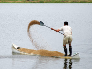 boater spreading feed