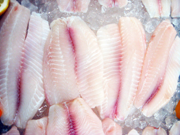 Article image for Market, trade flows of frozen tilapia in EU
