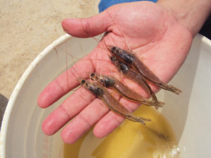 Continuous improvement