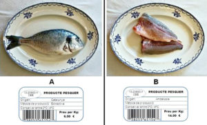 Survey: Consumers in Catalonia accept farmed sea bream, vary on form