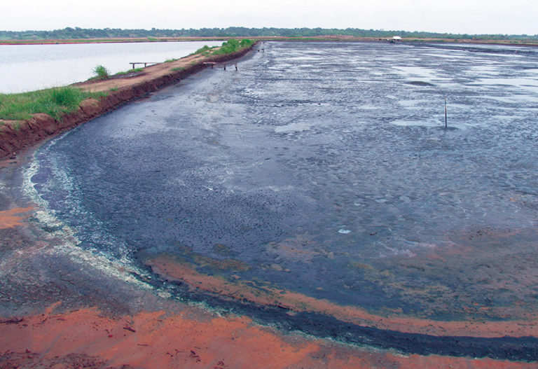 Article image for Pond bottom dry-out and liming, part 2