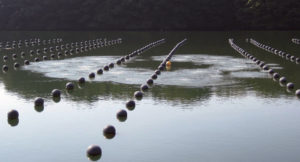 artificial upwelling