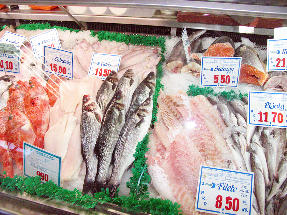 Article image for FAO fish indices enhance global seafood price evaluations