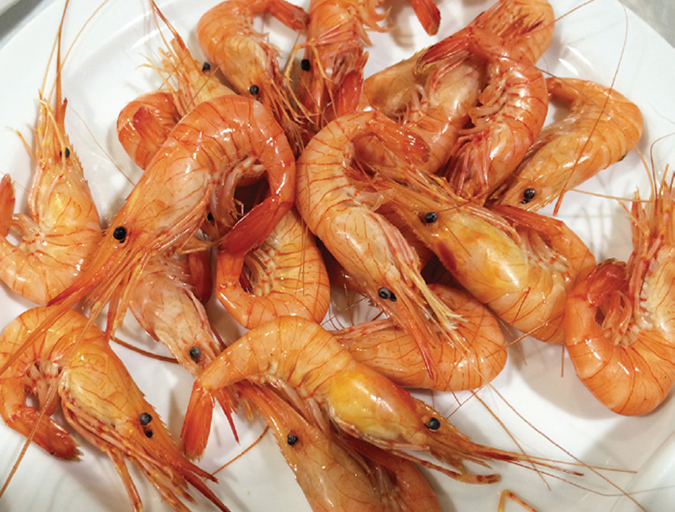 Article image for Warning: Shrimp salad may contain shrimp