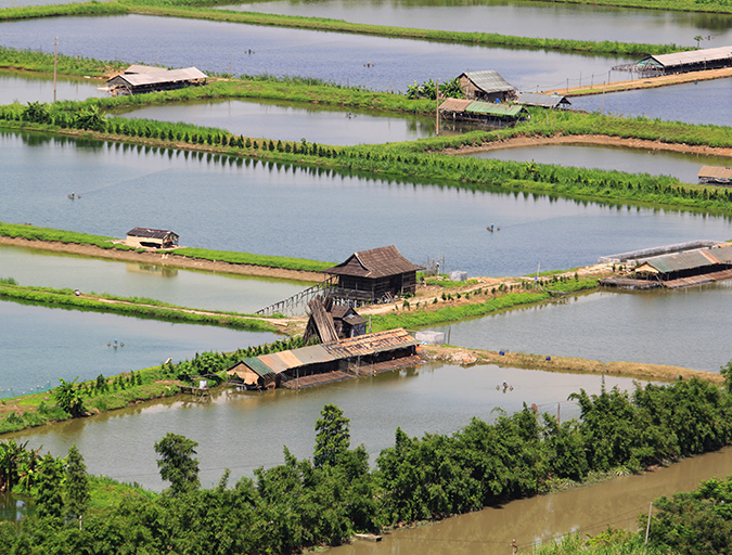 Article image for Aquaculture certification steers to zone management