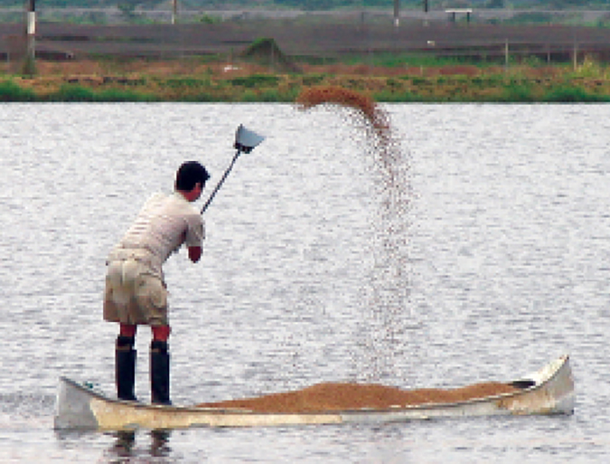 Article image for The Bottom Line: Feeds and water quality revisited