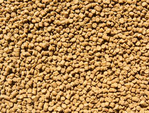 GAA responsible fishmeal