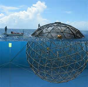 A stock image of the Aquapod, a submersible spherical ocean net pen for rearing fish in offshore waters. 