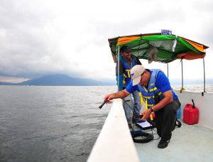 Regal Springs Tilapia