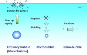 Figure 1. Microbubbles tend to gradually decrease in size and subsequently collapse due to long stagnation and dissolution of interior gases into the surrounding water, whereas nanobubble remains as such for months and do not burst out at once (from Takahashi, 2009).