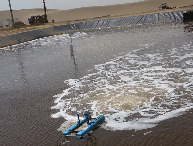 Article image for Shrimp biofloc production trials in Saudi Arabia